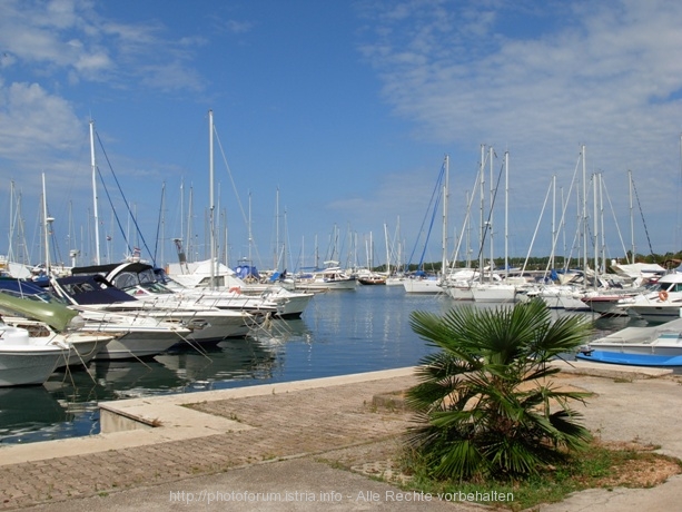 268ervar_-_Porat._1.JPG
