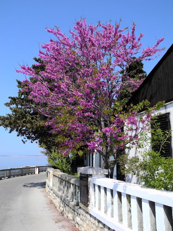 DSCN0923.jpg