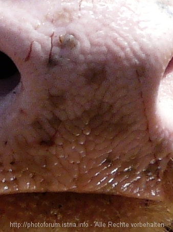 P1010032.jpg