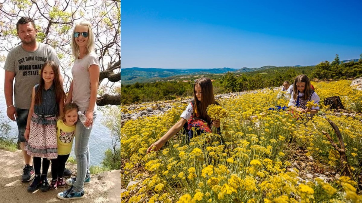 www-agroklub-com.translate.goog