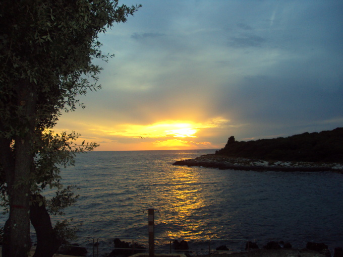 DSC00683.jpg