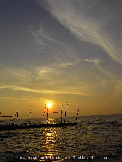 PICT5826-1.jpg