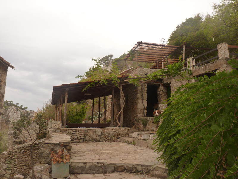 30905080rh.jpg