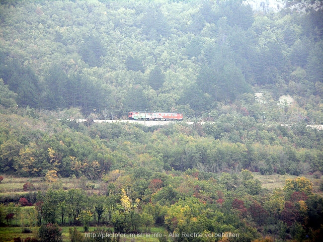 PICT8993-1.jpg
