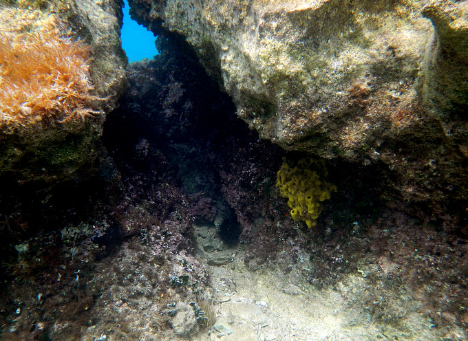 DSCN1525.JPG