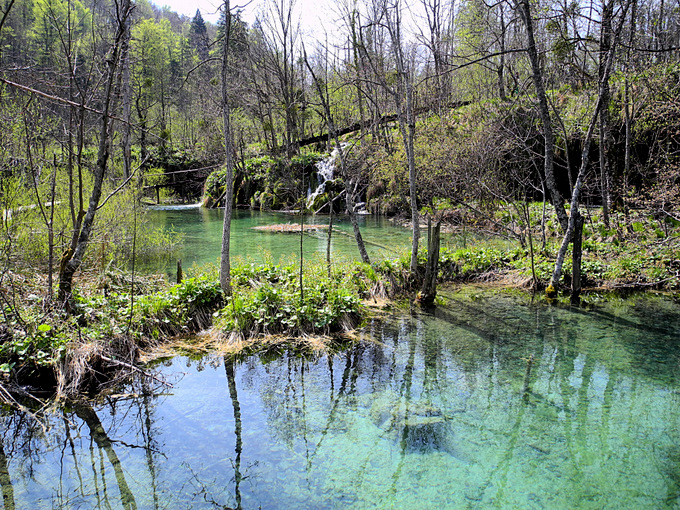 DSCN0678.JPG