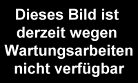 musiker-27494.gif