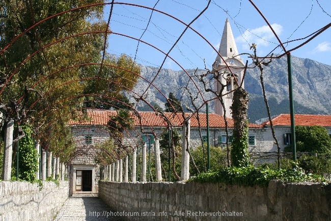 2_Zaostrog_Kloster6.4.08_Sonntag_Ciste_060.jpg