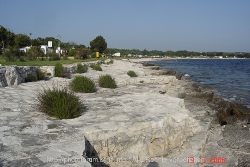 Strand.JPG
