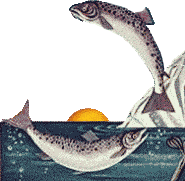 Fische-Sonne-freigestellt.gif