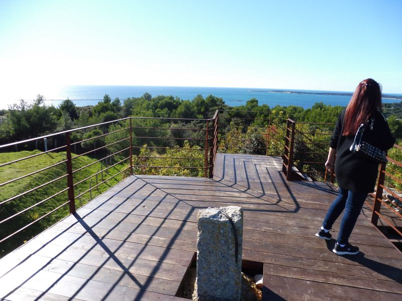 P1080675.jpg