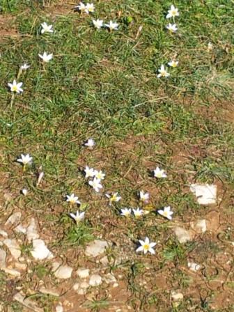 20130303_135418.jpg