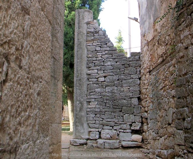 100_9558a.JPG