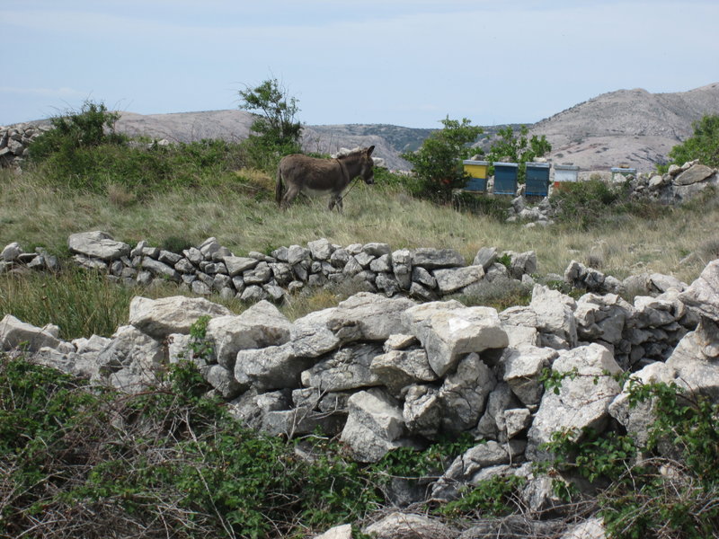 28878549st.jpg