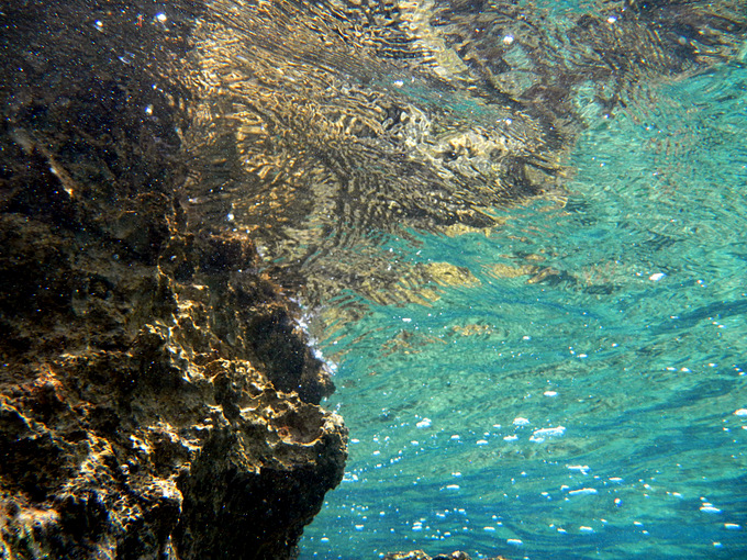 DSCN1499.JPG