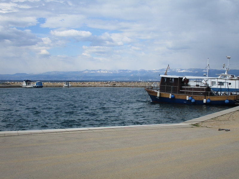 28973237oa.jpg