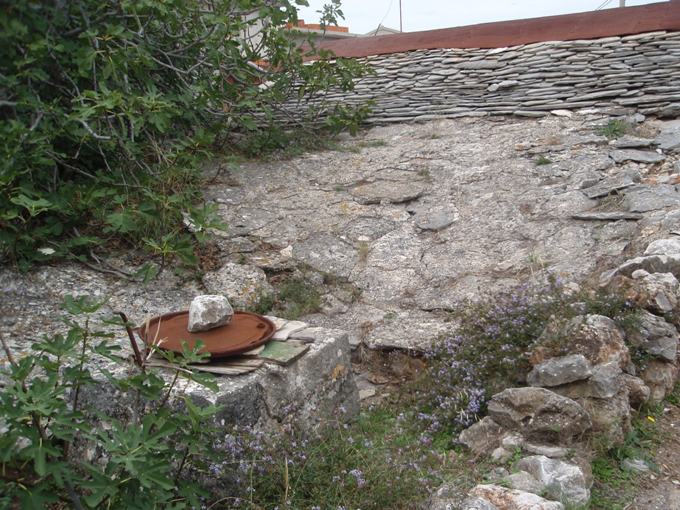 P1010396.jpg