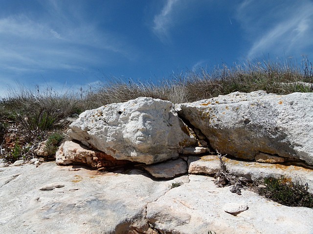 p1170984.jpg
