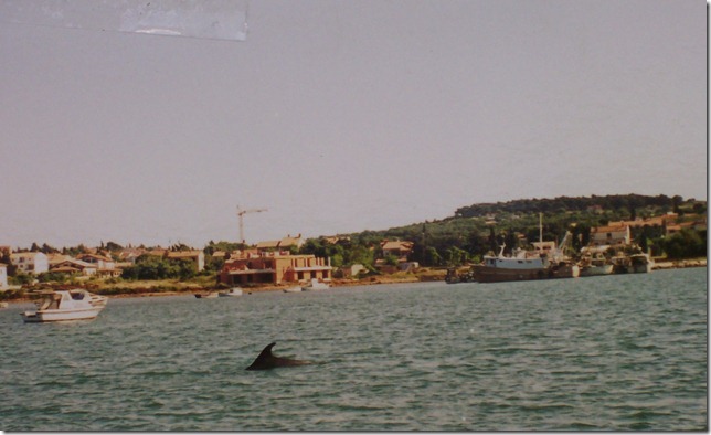 cid_6A9062C5EF0D46CDB785074806DF7FBDgreteundrudi.jpg