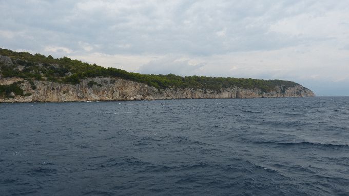 308.jpg