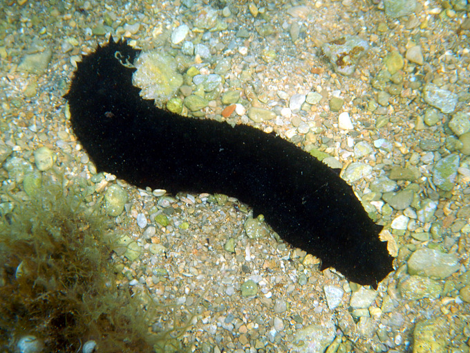 DSCN1507.JPG