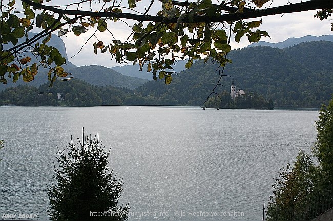 BLED_Marieninselblick_vom_Nordufer_2008IMG_9207.jpg
