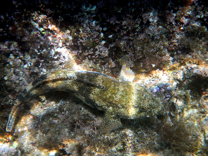 DSCN1640.JPG