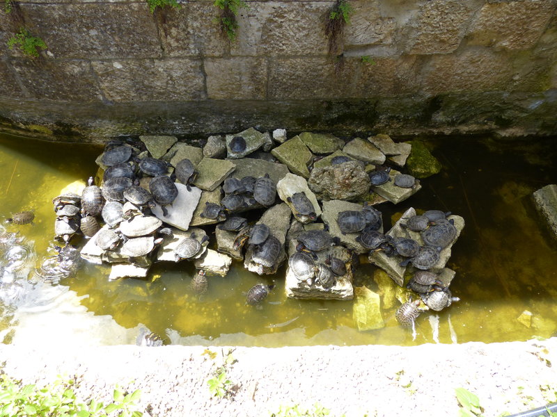 23263735nh.jpg