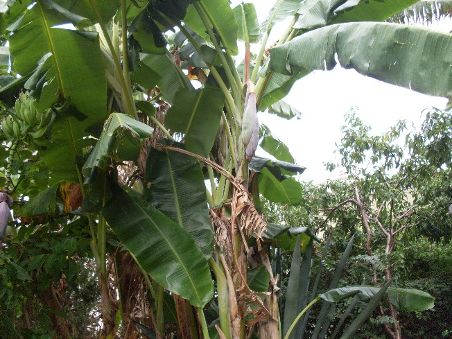 SDC11327.JPG