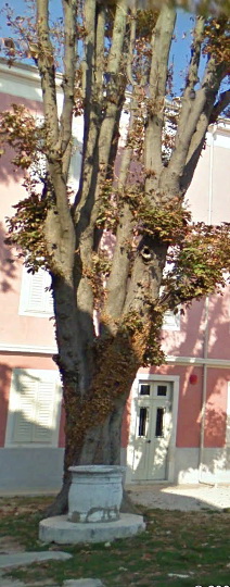 1710_3.jpg