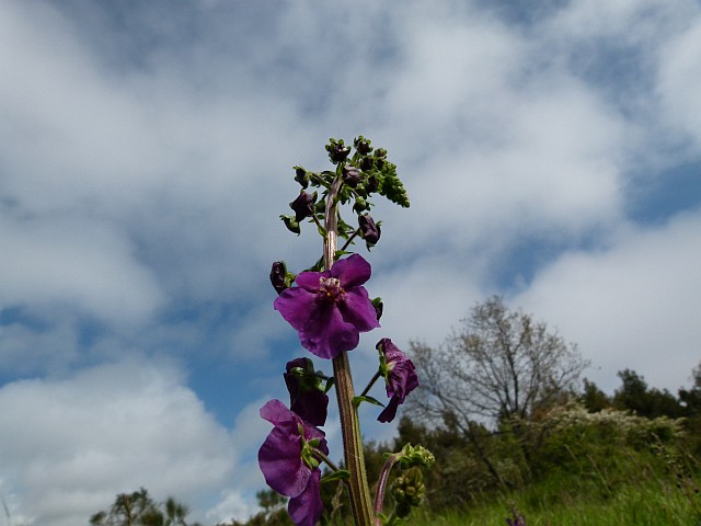 P1160969_klein.jpg