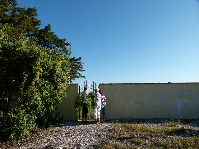 P1130697a.jpg
