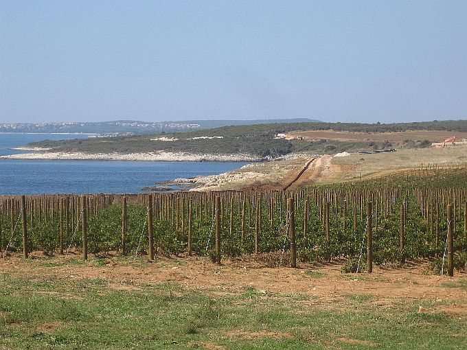 rasa-trail_9.2013_087.jpg