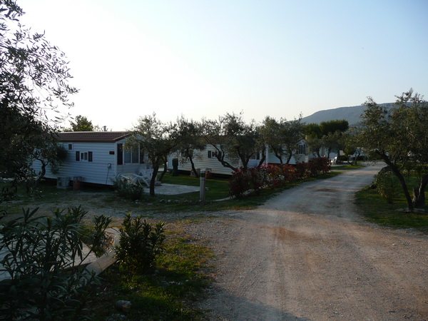 P1180431_Bildgre_ndern.JPG