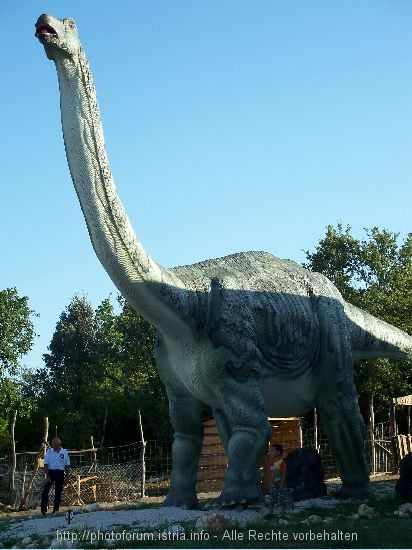 FUNTANA__Dino_4.jpg