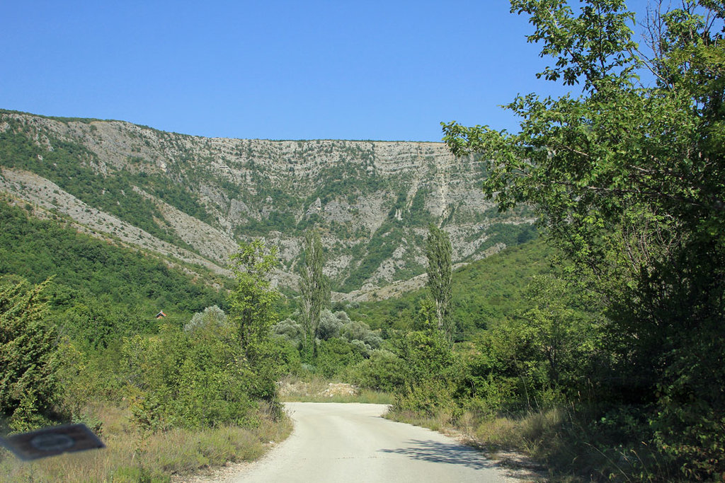 34481030al.jpg