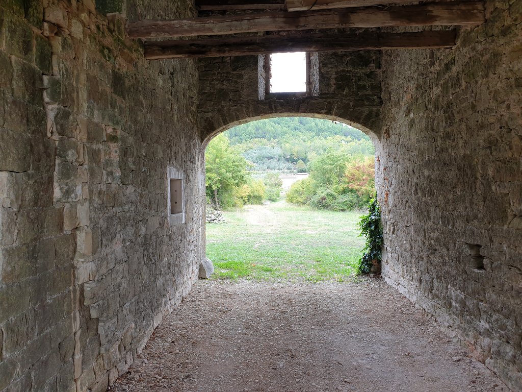 40077850st.jpg