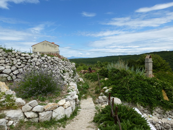 P1010283_Bildgre_ndern.jpg