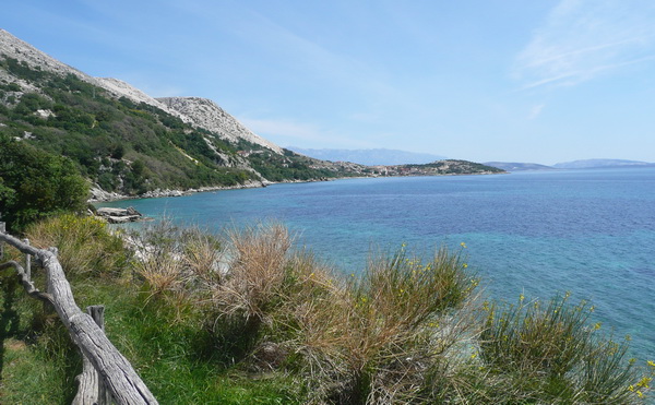P1220946_Bildgre_ndern_2.jpg