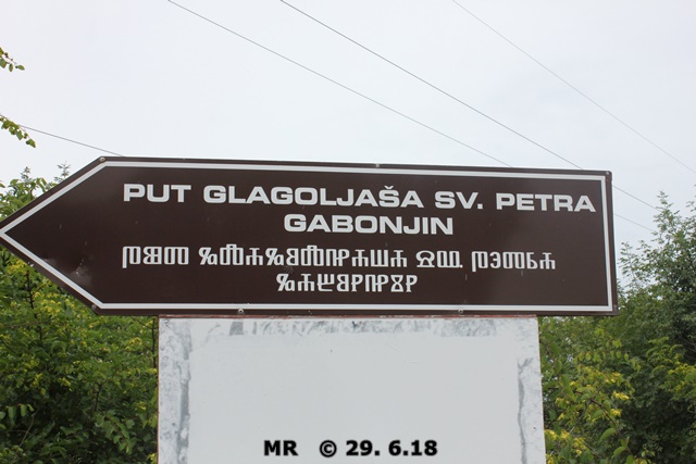 33110937sw.jpg