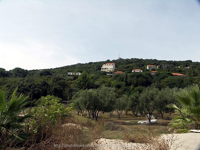 PICT2735-1.jpg
