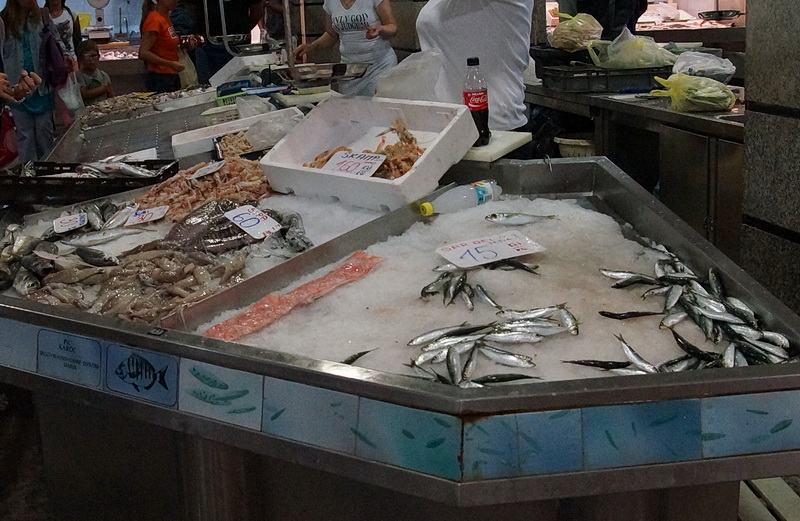 DSC08100-1.jpg