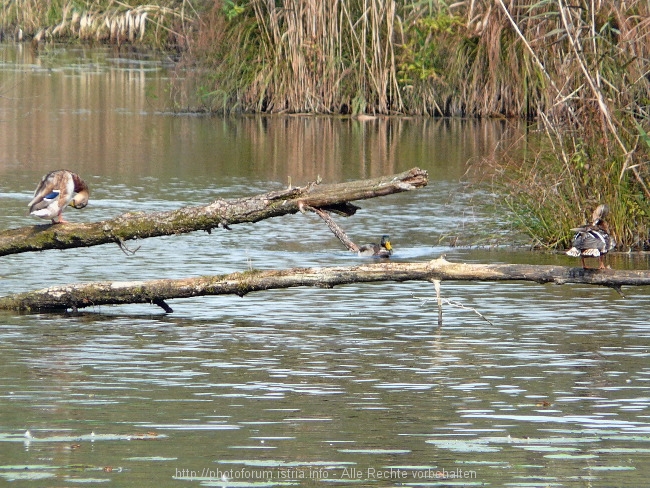 P101052411.jpg