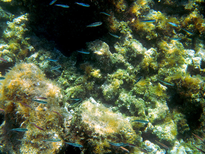 DSCN1620.JPG
