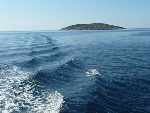 P1150028.JPG