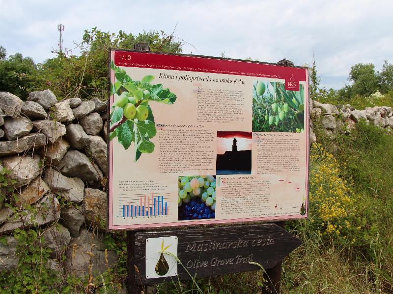 2014-8-20.jpg