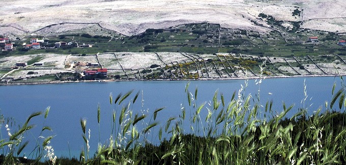 PICT4928-2.jpg