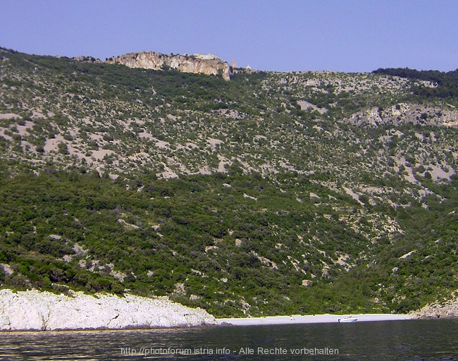 PICT6756-1.jpg