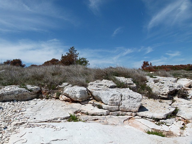 P1170985.jpg