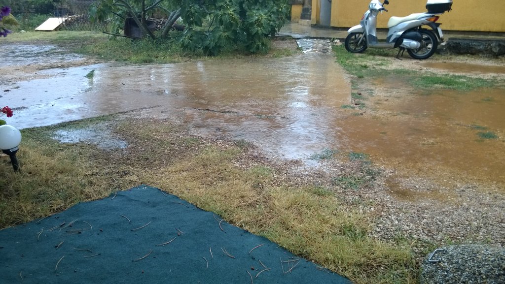 30239533qc.jpg